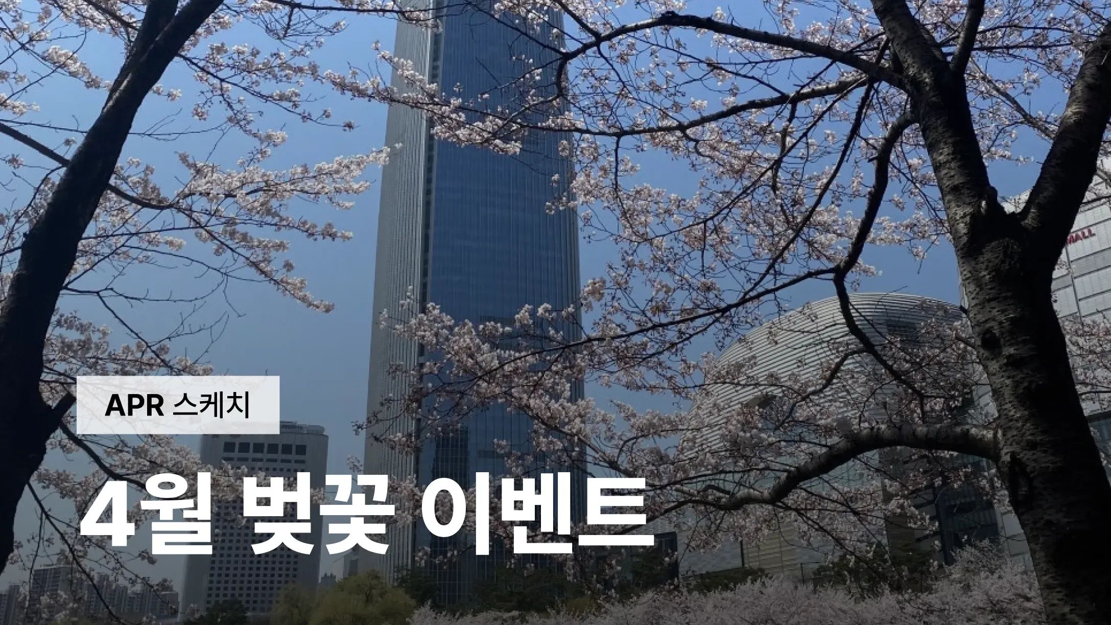 [APR SKETCH] 4월 벚꽃이벤트
